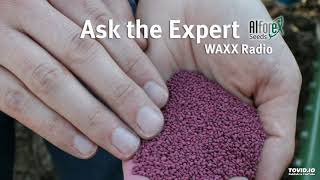 Ask The Alfalfa Expert - Direct Seeding Alfalfa, 1/2/19