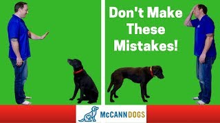 Teaching A Dog To "Stay"- 3 Common Mistakes - Professional Dog Training Tips