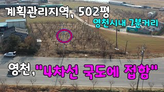 영천시 고경면, 국도 4차선에 접한 계획관리지역의 토지 503평.[번호 1044]#영천토지,#영천땅,#영천부동산,