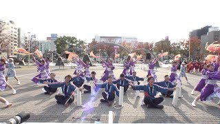 祭舞WaiWai @四日市よさこい祭り(市民公園会場) 2018-11-25T14:00