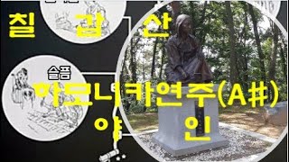 칠갑산,하모니카 .하모니카연주(A#). 야인.최선옥하모니카교실