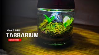 Make Tarrarium Ecosystem | Low Maintenance Tarrarium.