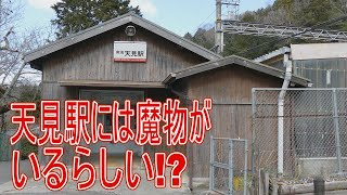 【駅に行って来た】南海高野線大阪府最南端の天見駅には「魔物」がいるらしい!?