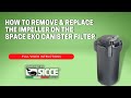 How to Remove & Replace The Impeller | Space Eko Canister (Official Sicce)