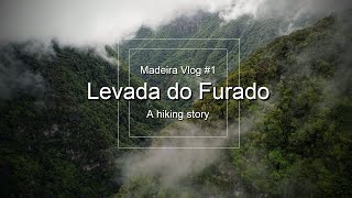 LEVADA DO FURADO | TRAVELLING MADEIRA, PART 1