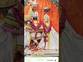 श्री जुगल किशोर जी महाराज आज शाम के दर्शन 🙏🙏💎🙏💯 shortvideo radhakrishnabhajan shree radhe sorts