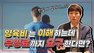 이혼소송 부양료와 양육비 사건!