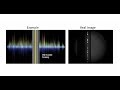 Webinar: Multiparameter Cell Cycle Analysis