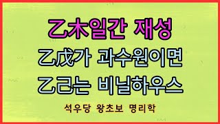 乙木일간 재성 乙戊가 과수원이면 乙己는 비닐하우스!(석우당 왕초보 명리학)