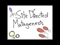 site directed mutagenesis and protein engineering first draft