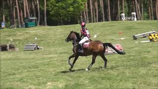 第40回全日本ヤング総合馬術大会2019　EV100　耐久審査　2年　平山　直人　桜彩