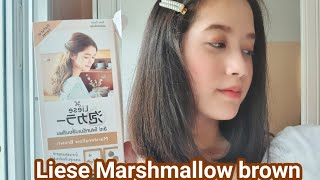 Review ทำสีผมเองง่ายๆ - Liese Marshmallow brown 2019