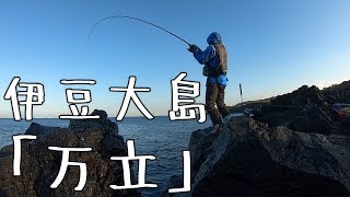 【伊豆大島】フカセ釣り初心者が伊豆大島に突撃してみた（１／３）【万立、磯釣り、メジナ釣り】