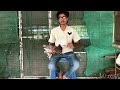 മഴക്കാലത്ത് പ്രാവുകളെ 🕊️ എങ്ങനെ സംരക്ഷിക്കാം how to care pigeon 🕊️ in rainy season