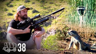 Airgun Ground Squirrel Hunt | Oxwagon Diaries, pt.38: Valleys & Mountains