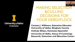 Making Selection and Culling Decisions for your Herd or Flock