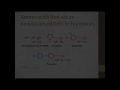 ch308 ch 4 amino acids v2016