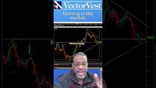 Stay Focused and Cautious in this Market! | VectorVest