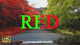 Paint It, Red 【赤くぬれ!】