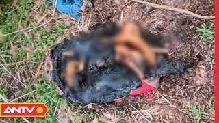 Phần chân người bị đốt cháy trong vali ở Bình Dương nghi là của phụ nữ | Tin tức 24h mới nhất | ANTV