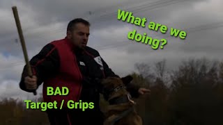 Fixing BAD TARGETING in BITE work - How to Dog Training