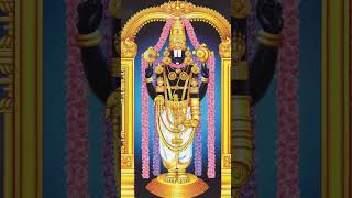 తిరుమల కొండ | Tirumala hill #tirumala #tirupati #balaji