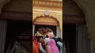 Tan Tan ram Dass gur 🙏🙏 Darbar sahib #darbarsahib #shot #video #tranding