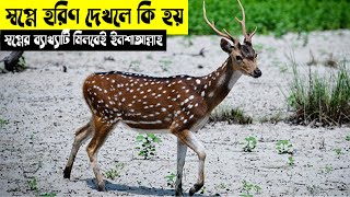 স্বপ্নে হরিণ দেখলে কি হয় | স্বপ্নে হরিণের বাচ্চা দেখলে কি হয় | স্বপ্নে হরিণ ঘাস খেতে দেখলে কি হয়