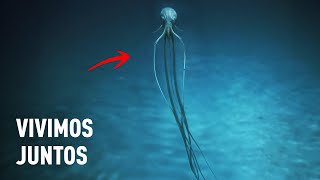 ¿Existen alienígenas ocultos bajo el mar? ¡Hablan los científicos!