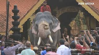 Thirunakkara Pakal Pooram 2018 - Kerala Elephants