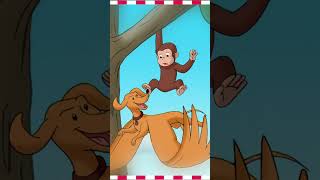 George's WORST Nightmare! 😰 | Curious George | Mini Moments #curiousgeorge #shorts
