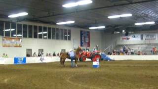 Barrel Racing Accident