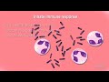 the immune system overview animation