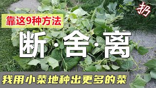 9种情况断舍离 | 提高菜地使用率 | 种出更多的菜 9 ways to keep your planting simple