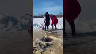 【搞笑漁民生活】冰天雪地中的特殊捕魚，鑿冰鉆洞在撒網，魚兒自主上岸#shorts #捕魚 #搞笑 #戶外抓魚