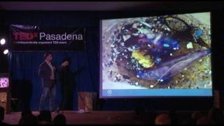 TEDxPasadena - Anna Cummins and Marcus Eriksen - Waste water treatment - 5 Gyres