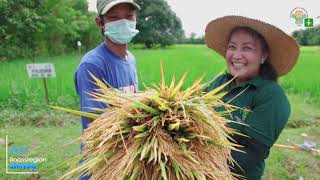 Abundance Farm Success Story