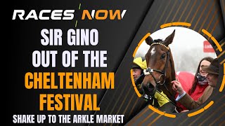 Sir Gino OUT of The Cheltenham Festival | Injury To Nicky Henderson Star | Arkle Ante Post Betting