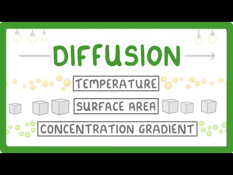 How does grain size affect diffusion?