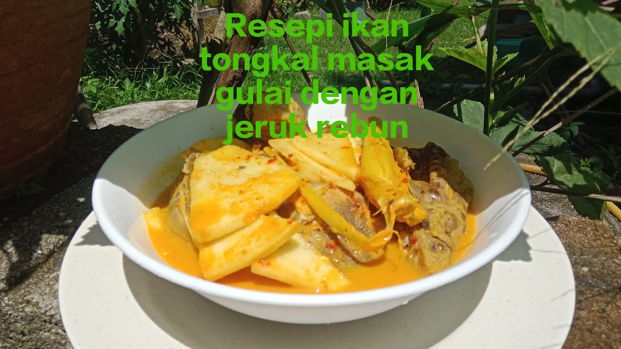 Resepi Gulai Ikan Tongkol Masak Dengan Jeruk Rebung ‼️ Sedap Boleh Cuba ...