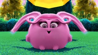 Sunny Bunnies Special Intro Effects but ALL SHINY RINDO LAUGH EFFECTS EVOLUTION ( Must Watch ) 2022