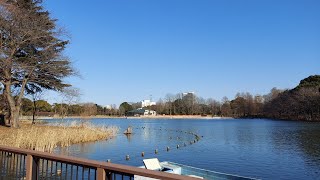 【柏の葉公園】柏の葉公園ボートハウスからの眺望【柏の葉キャンパス】