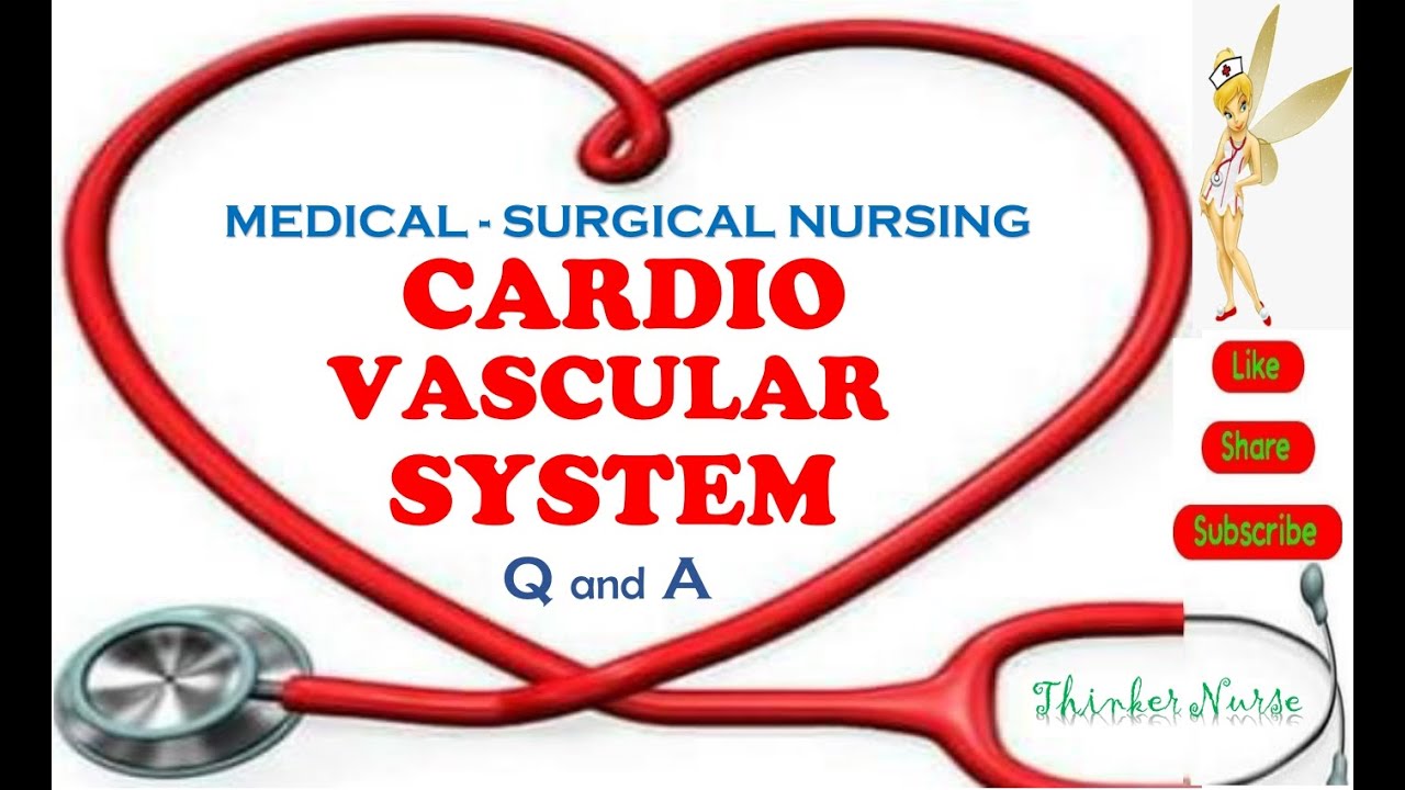 CARDIOVASCULAR SYSTEM (MED-SURG) - YouTube