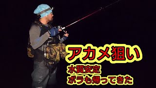 【アカメ狙い】ボラも水もいい感じ21,07,05