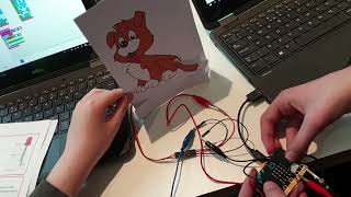 Microbit Servo Animals