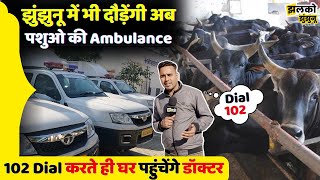 Animal Ambulance का क्या रहेगा इलाज का Process , देखे पूरी जानकारी - Jhunjhunu News