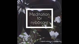 Meditation för Nybörjare: Vägledd Meditation med Lina Molander för Inre Lugn och Fokus