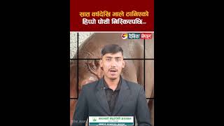 सात वर्षदेखि भाले ठानिएको हिप्पो पोथी निस्किएपछि... || DainiK Nepal ||