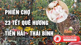 Phiên chợ 23 tết quê hương ngập tràn đào quất │Cơm Nắm TV #vlog #travelvlog #comnamtv