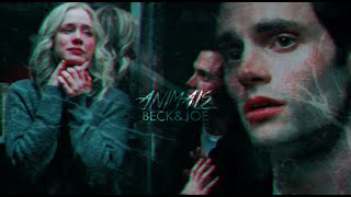 beck&joe | animals. [YOU]